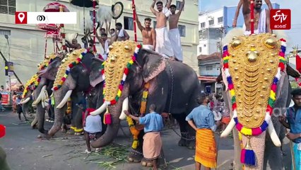 പൂരം, പൊടി പൂരം... ഉത്സവ ലഹരിയില്‍ തൃശിവപേരൂർ