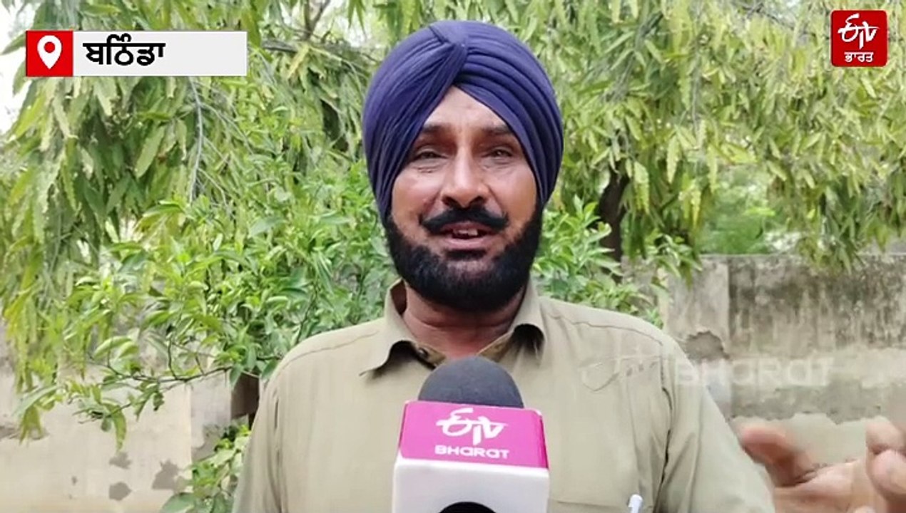 ਕਿਸਾਨਾਂ ਉੱਤੇ ਕੁਦਰਤ ਦੀ ਮਾਰ, ਮੀਂਹ ਪੈਣ ਕਾਰਨ ਕਰੰਡ ਹੋਈ ਨਰਮੇ ਦੀ ਫਸਲ