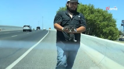 Driver spots a black ball on the road: His instinct tells him to stop instantly
