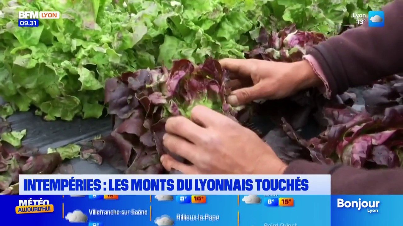 Intempéries dans le Rhône: les monts du lyonnais touchés
