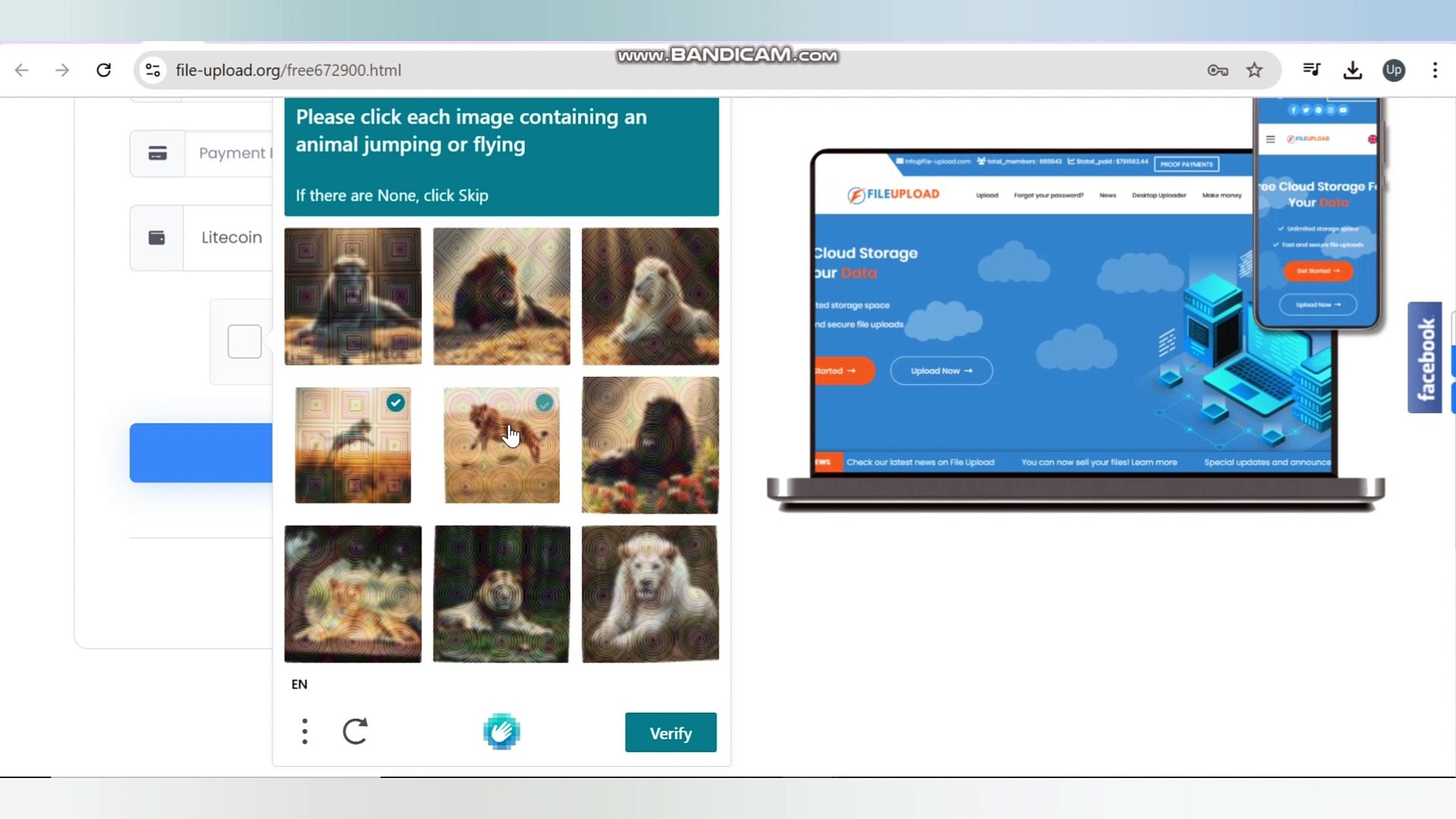 How to use Fileupload.org