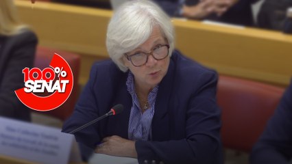 100% Sénat - Aides publiques aux entreprises : audition de Catherine Vautrin