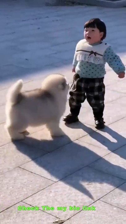 Cute baby's vs cute puppies new viral funny video 😁📸#viralvideo #shortvideo #viralshort #viralvideo