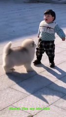 Cute baby's vs cute puppies new viral funny video 😁📸#viralvideo #shortvideo #viralshort #viralvideo