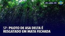 Piloto de asa-delta fica preso em árvore e é salvo em mata fechada