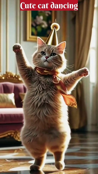 Cat dancing 🕺 ♥️