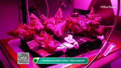 Ao vivo | Como os planetas nascem? Você pode ver! | 02/05/2025 | #OlharDigital