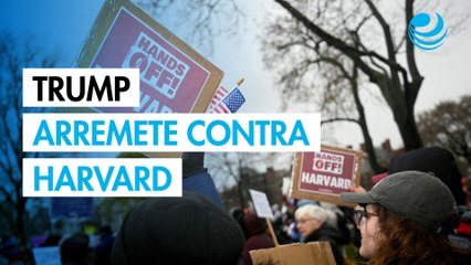 Trump retira exención fiscal por protestas sobre Gaza a Harvard