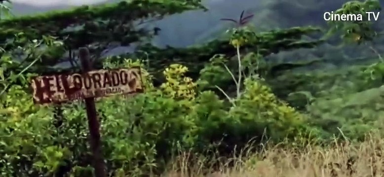 El Tesoro del Amazonas (2003) - Película Completa en Español Latino
