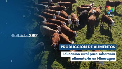Nicaragua impulsa formación agropecuaria