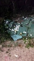 Moradora denuncia descarte irregular de ovos podres em via pública no bairro Jatobá, em Patos