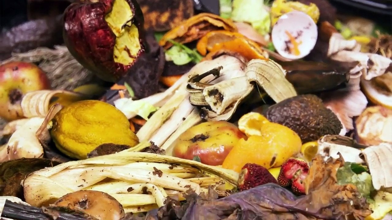Wasted! The Story of Food Waste | movie | 2017...