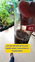 Is a Cup of Black Coffee in the Morning Good for Your Health?