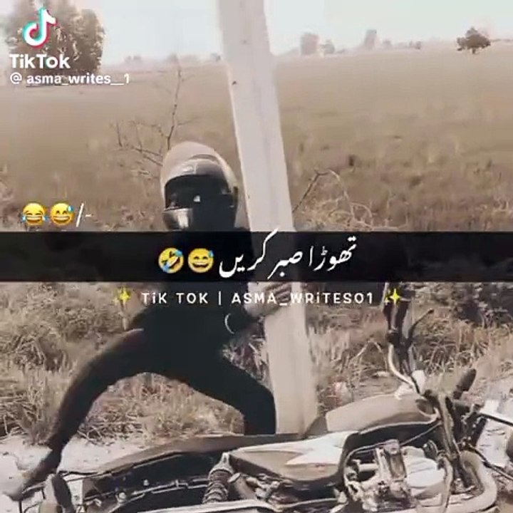 All is happy