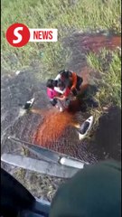 Five survive after plane missing for 48 hours in Bolivia