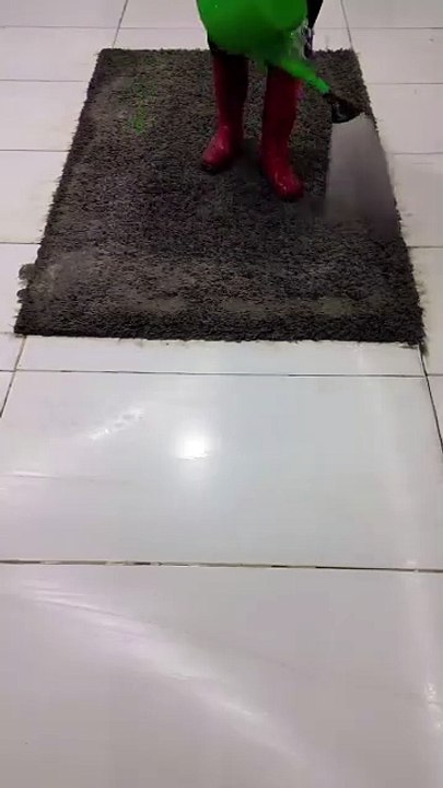 Carpet cleaning Service