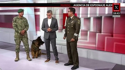 ‘Arkadas’, perro rescatista donado por Turquía, cumple dos años al servicio del Ejército Mexicano