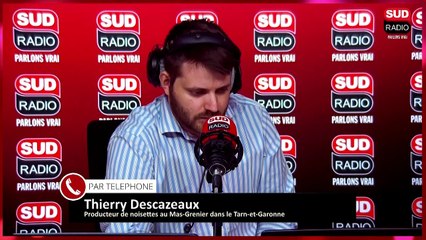 Les punaises diaboliques à l’assaut des cultures dans le Tarn-et-Garonne