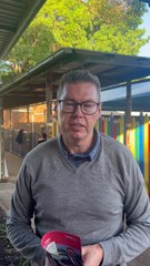 Pat Conroy | Federal election 2025