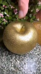 Enjoy the Fruits of Garden 🍉🍓  #fruits #farming #shorts #dailymotion #viral #nature