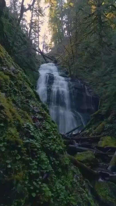 Beautifull nature#peace nature