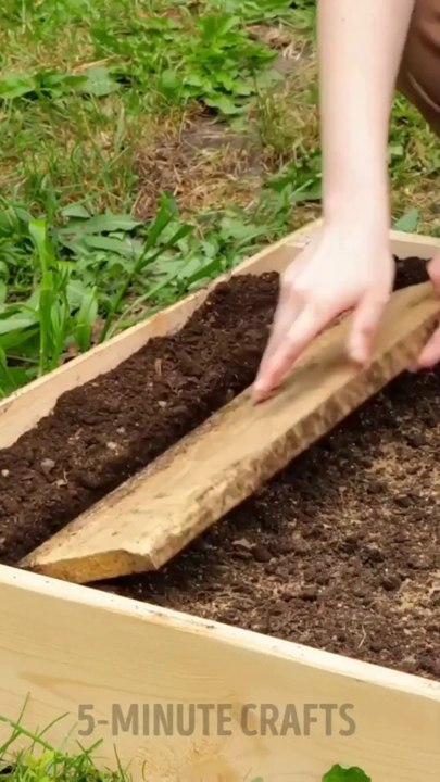 7 cheap and effective DIY gadgets for your garden 1080p