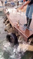 Magnet Finds Really Old Safe 1080p