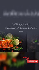 Beautiful ayah|Surah nahal ayah 14