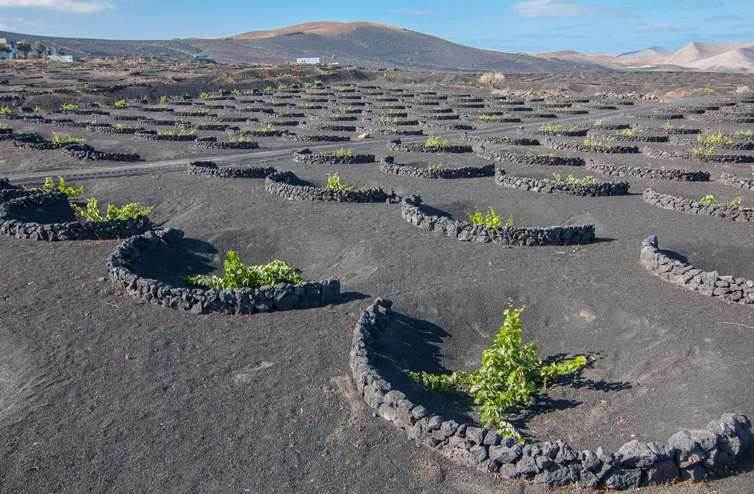 Viajes y escapadas. Paisajes volcánicos y las obras de César Manrique en Lanzarote