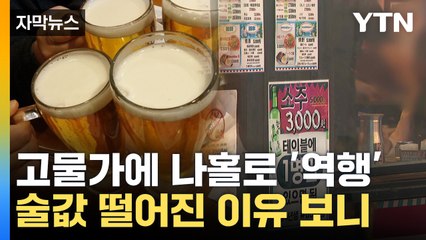 [자막뉴스] 치솟는 물가에 나홀로 '뚝'...술값 역주행 이유 보니 / YTN