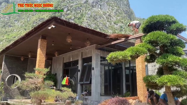 Công Trình Lợp Mái Lá Guột Tại Hạ Long, Quảng Ninh – Kiến Trúc Sống Xanh Tre Trúc Ngọc Dương