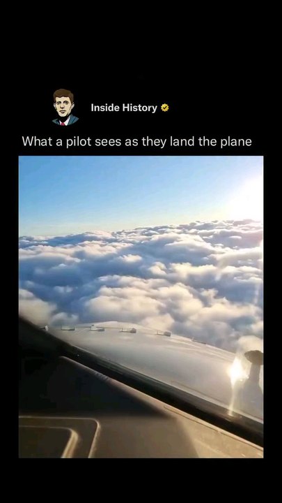 As a pilot prepares to land the plane, their view from the cockpit is a dynamic and focused scene. They see the runway stretching out ahead, framed by a complex array of lights that guide the