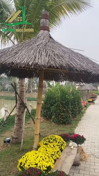 Tre Trúc Giữa Lòng Phố Thị – Không Gian Kiến Trúc Xanh Gây Thương Nhớ Tre Trúc Ngọc Dương