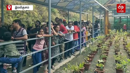 இரவிகுளம் தேசிய பூங்காவில் குவிந்த சுற்றுலா பயணிகள் - வரையாடுகளை கண்டு மகிழ்ந்தனர்!