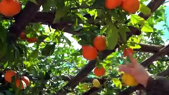 Cava de' Tirreni (SA) - Servalli: VERSO GLI STATI GENERALI DELLA BELLEZZA (03.05.25)