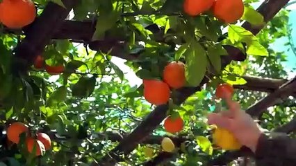 Cava de' Tirreni (SA) - Servalli: VERSO GLI STATI GENERALI DELLA BELLEZZA (03.05.25)