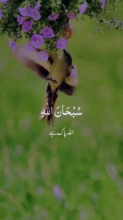 Quran ahadees