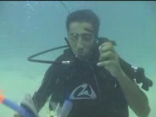plongee in koh tao