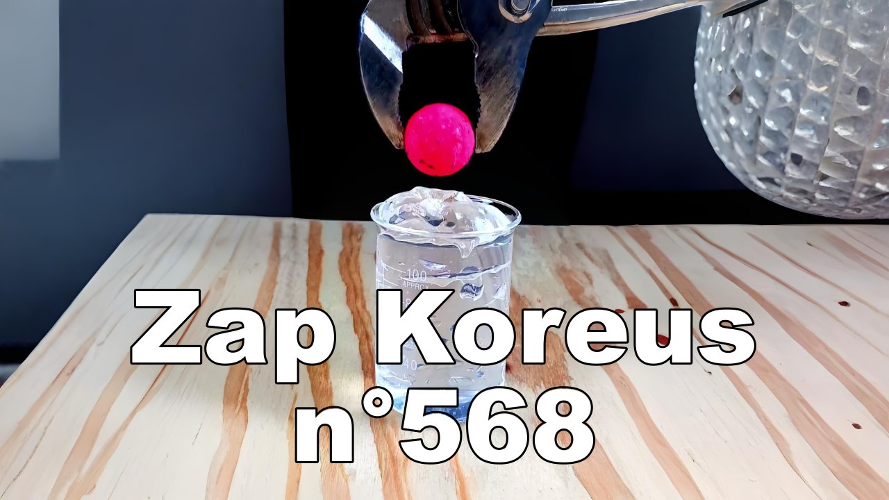 Koreusity 568