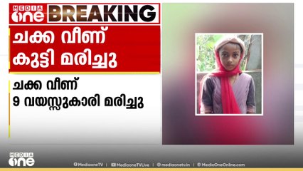 തലയിൽ ചക്ക വീണപ്പോൾ കുട്ടി തെറിച്ചുവീണു; ഒൻപത് വയസ്സുകാരിക്ക് ദാരുണാന്ത്യം