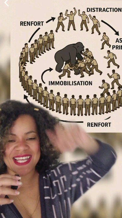 1 gorille 🦍 VS 100 hommes - réponse scientifique