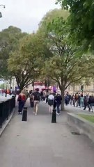Orange in London Belfast News Letter