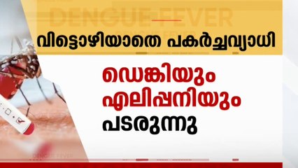 ഡെങ്കിപ്പനി-എലിപ്പനി രോഗികളുടെ എണ്ണത്തിൽ കുറവില്ല; വിട്ടൊഴിയാതെ പകർച്ചവ്യാധി ഭീഷണി
