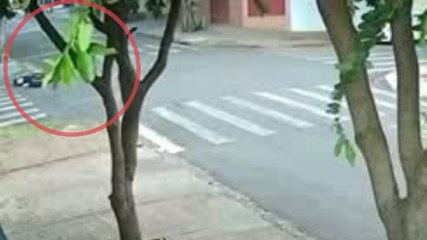 Vídeo mostra momento em que moto elétrica colide com ônibus em Maringá