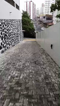 Árvore cai no bairro Pituba após fortes chuvas e atinge barraca