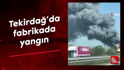 Tekirdağ'da fabrikada yangını: Dumanlar her yerden gözlendi
