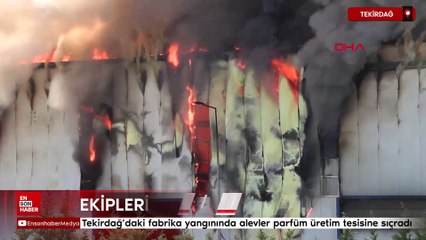 Tekirdağ'daki fabrika yangınında alevler parfüm üretim tesisine sıçradı