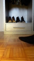 4 Sneakers lacoste 🐊