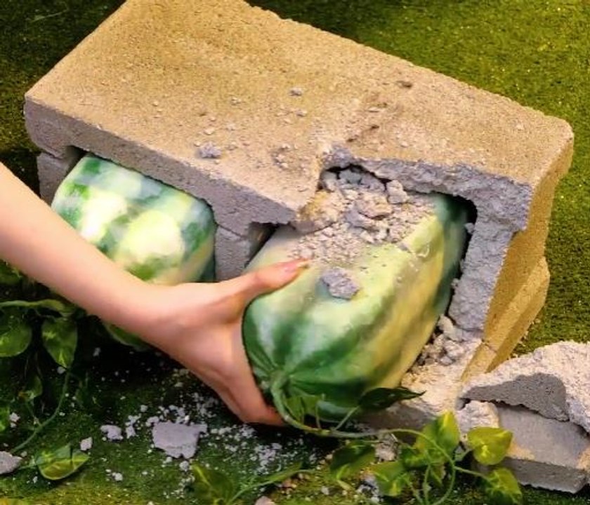 Hack Your Habitat! Unexpected Tips for Everyday Wins!