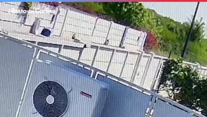 Follia a Reggio Emilia, balordo prende a badilate due persone: video